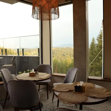 Forest Hill & 3* Yablunytsia