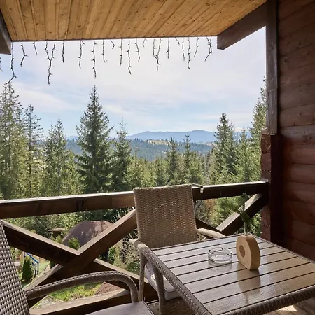 Forest Hill & Отель 3*