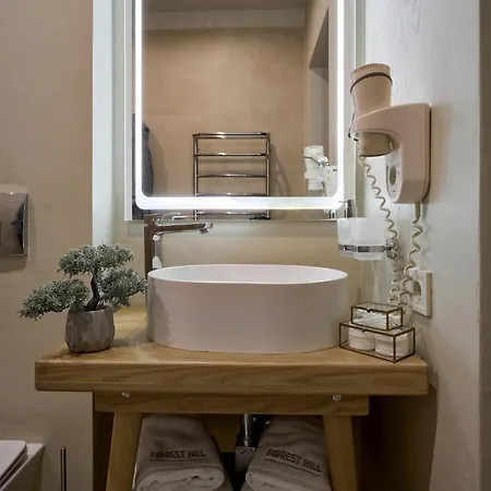 Отель Forest Hill &