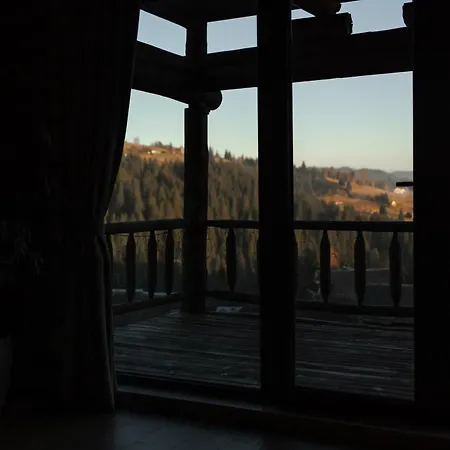 Forest Hill & 亚布卢尼齐亚